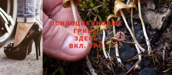 спиды Армянск